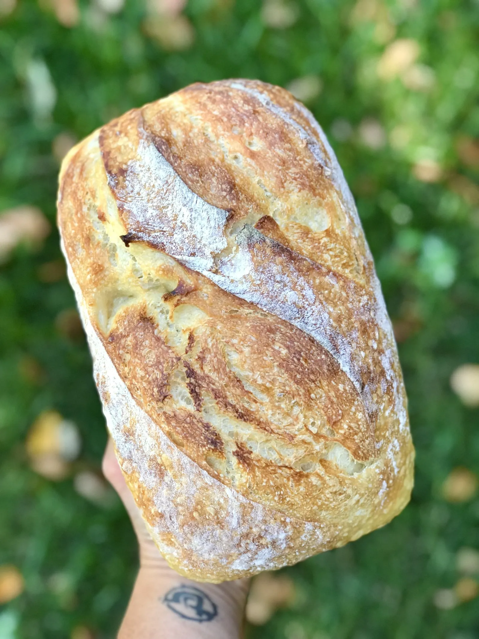 A hand holding a scored sourdough loaf from Ambitious Baker, the Regina bakery YQR Design branded