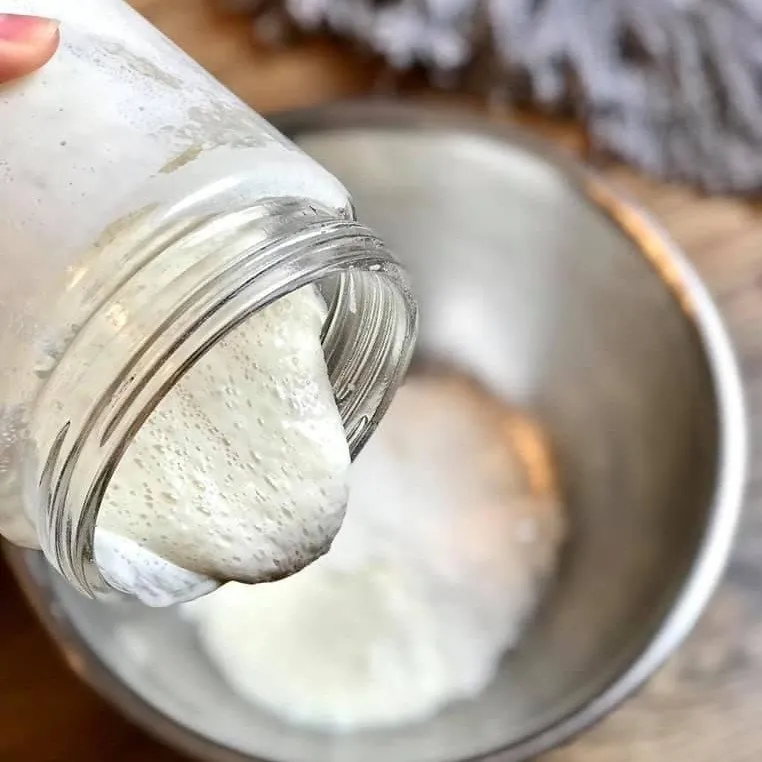 Agnus, the sourdough starter, pouring in a slow ribbon from a glass jar into a metal mixing bowl